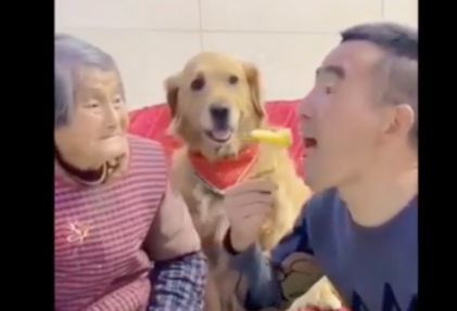 LOL: Dont Mess With Grandma!