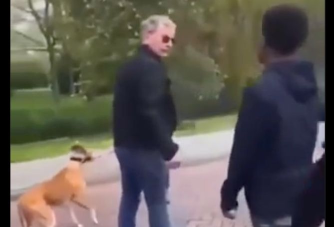 Bored Brats Assault Older Man Walking His Dog For No Reason!