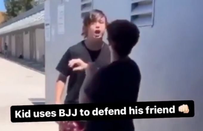 Young Kid Protects His Friend From A Bully!