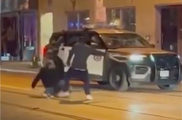 Man Uses His Pet Snake As A Weapon In A Street Fight In Toronto, CA!